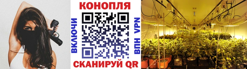 Каннабис White Widow Сковородино